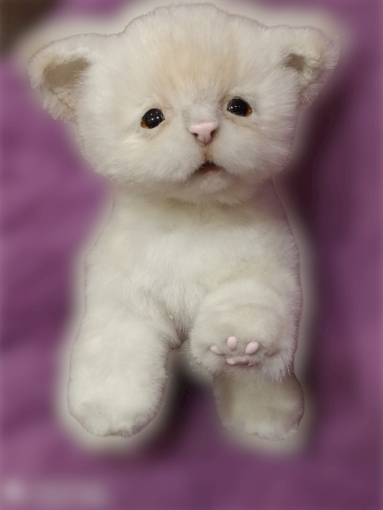 Котёнок