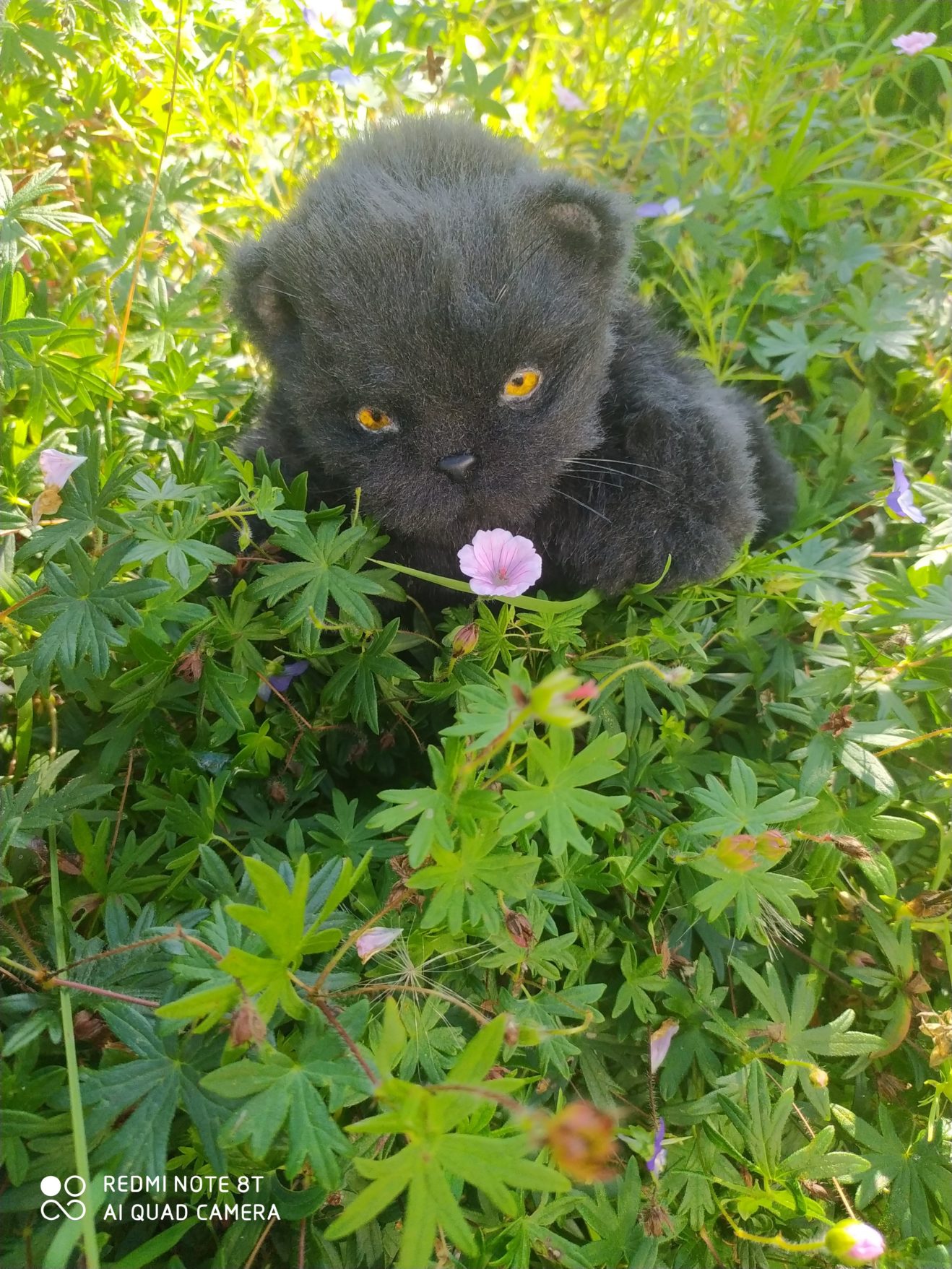 Котёнок антистресс